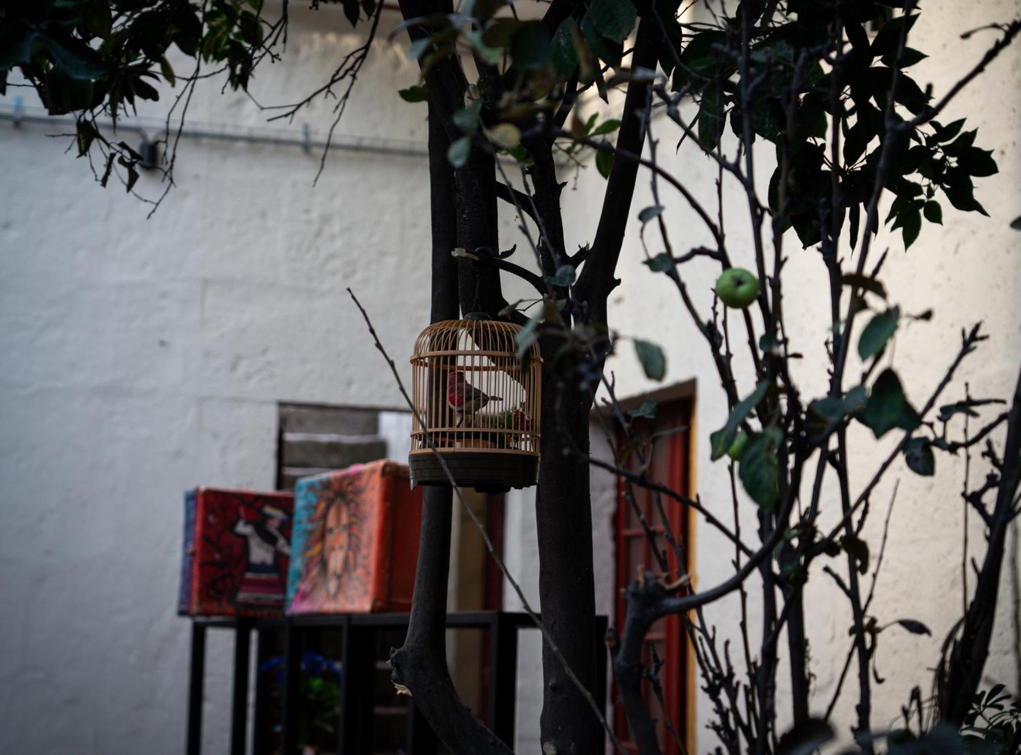 Way Kap Hostel อาเรกิปา ภายนอก รูปภาพ